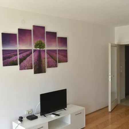 Luna Apartment